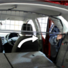 Koiraverkko Seat Arona 2017- - Image 2