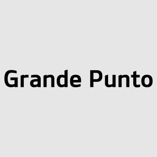 Grande Punto