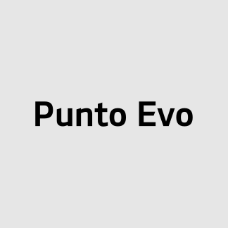 Punto Evo