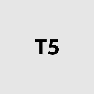 T5